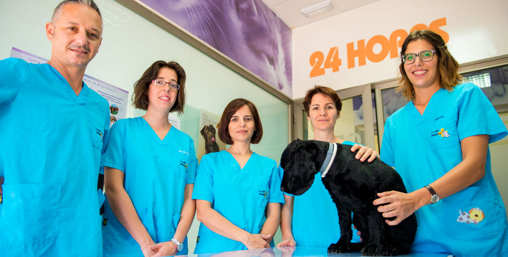 Urgencias 24h -  Clínica Veterinaria en Córdoba Victoria